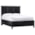 Paragon Black